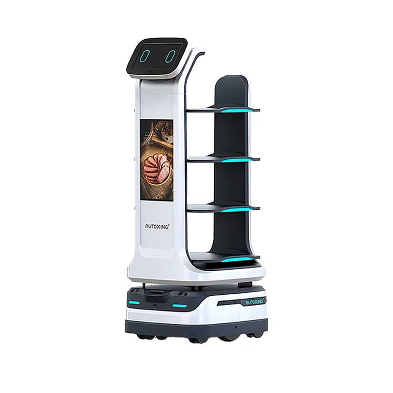 Waitress Robot